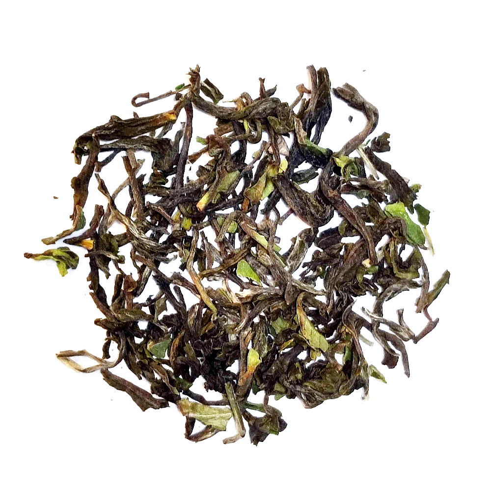 404 - First Flush 2025 Darjeeling Puttabong FTGFOP1 - - Te - TeSelskabet